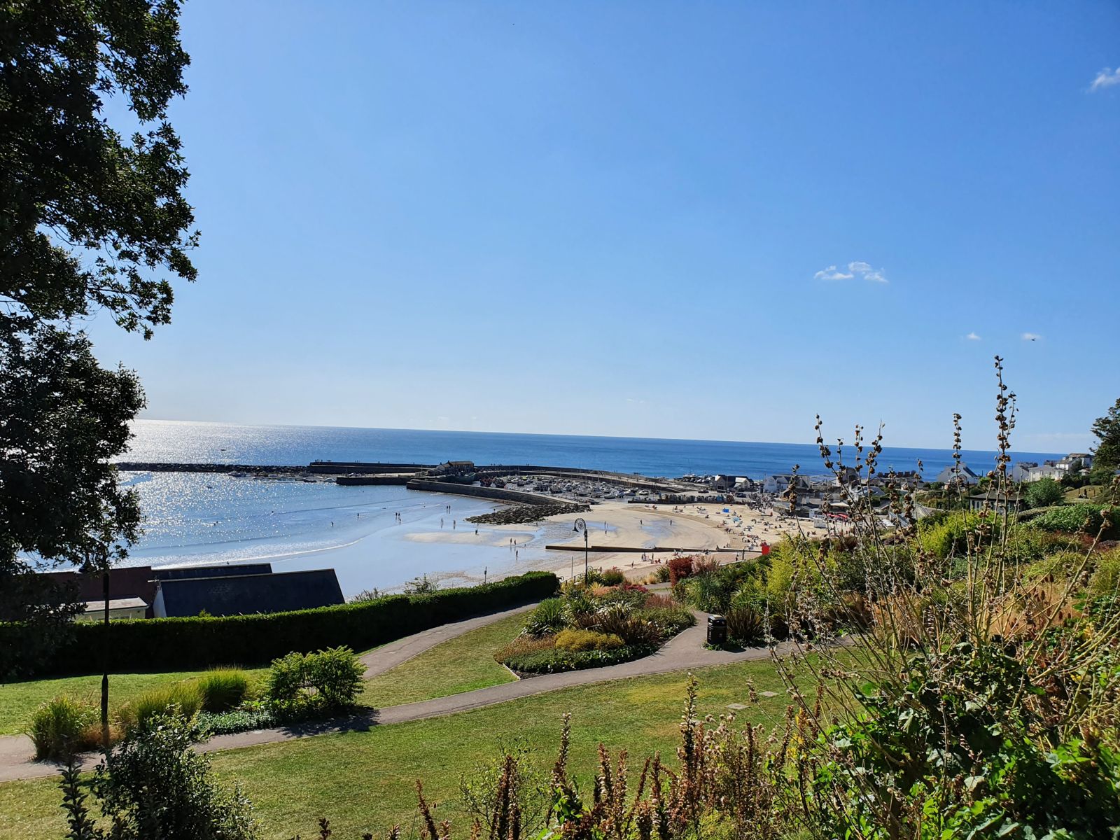 View of the Cobb harbour wall in Lyme Regis from Langmoor Gardens
